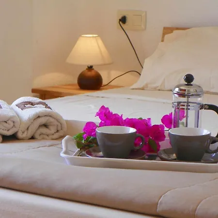 Tropicana Park Fase Iii - Tp73 Duplex *